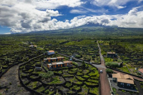 Paraíso do Triângulo
